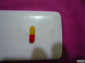 生物科技產(chǎn)品