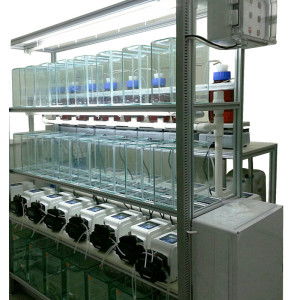 thmorgandl6000供應商 臺灣其它dl6000國產