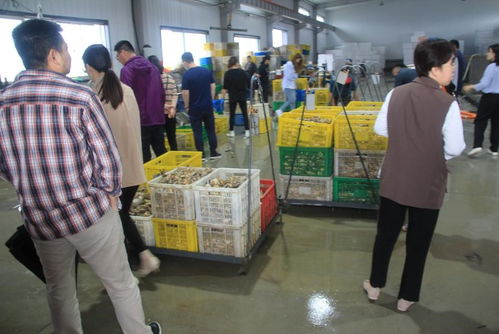 國家重點(diǎn)研發(fā)計劃 藍(lán)色糧倉科技創(chuàng)新 重點(diǎn)專項 重要水產(chǎn)養(yǎng)殖生物抗病和抗逆性狀的遺傳基礎(chǔ)與調(diào)控機(jī)制 項目中期檢查會在乳山召開