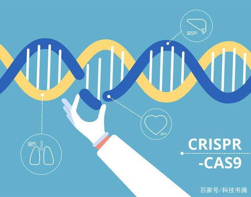 從基因層面 改造 人類 別讓生物黑客稱霸地球 科技書摘